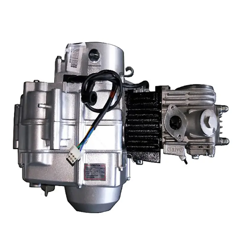 110Cc Automatic Kick Start Engine 1