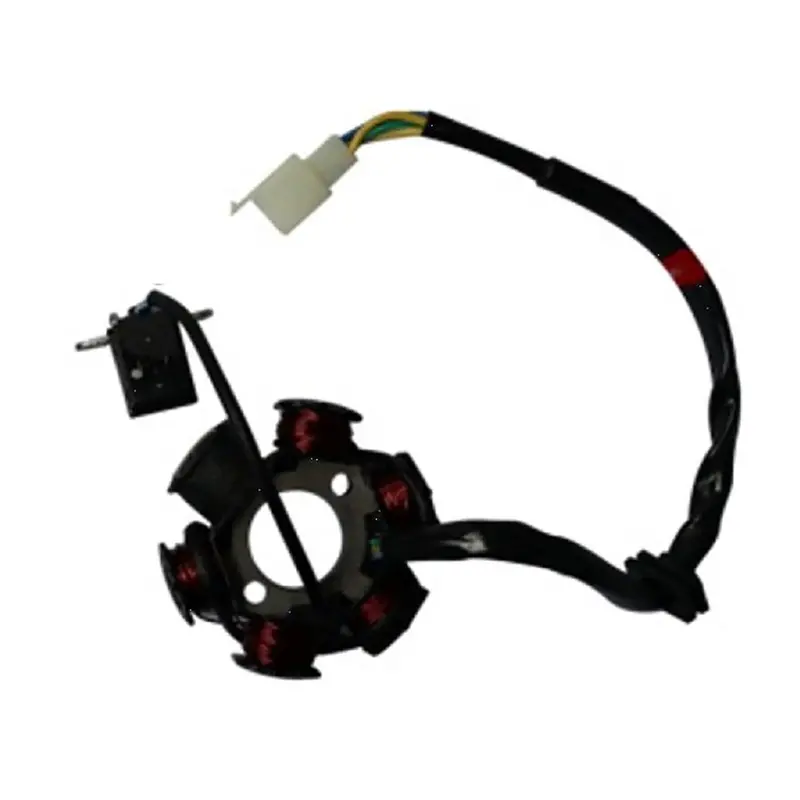 6 Poles Stator For Chinese 125Cc Motorcycle 1