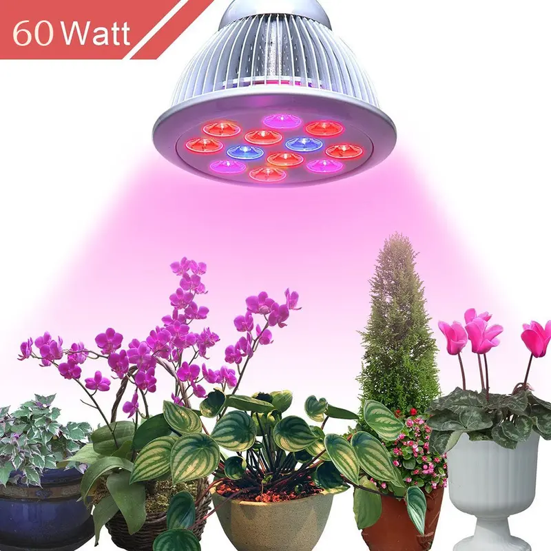 60W Par38 Led Grow Light (Grow) 1