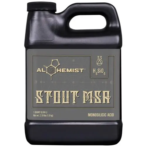 Alchemist Stout Msa Quart (12/Cs) 1