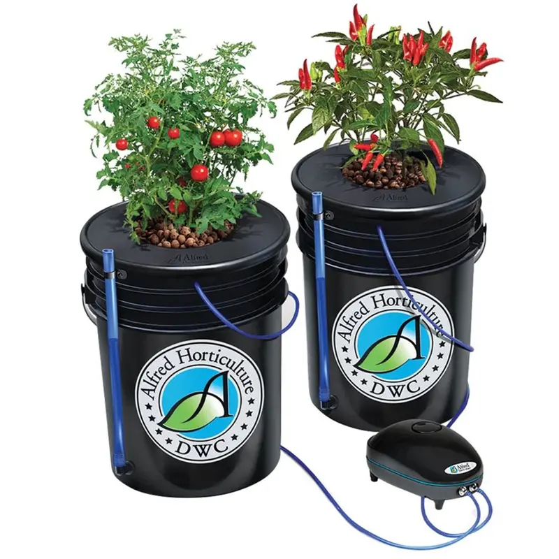 Alfred Dwc 2-Plant System 1