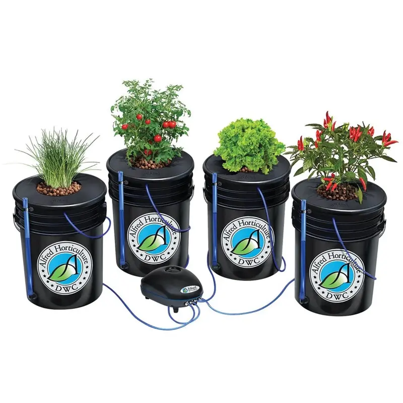 Alfred Dwc 4-Plant System 1