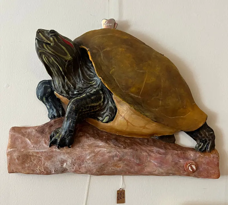 Angus The Painted Turtle 1