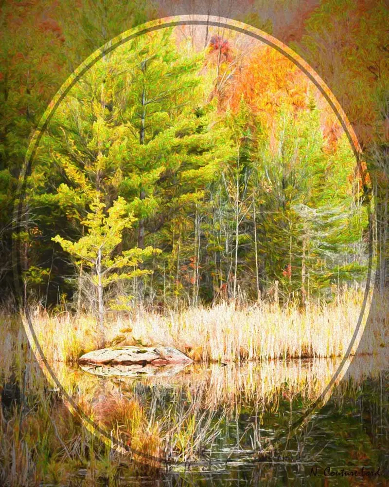 Autumn Reflection - 20 X 16 Inches Canvas Print 1