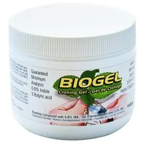 Bio Gel Cloning Gel 1