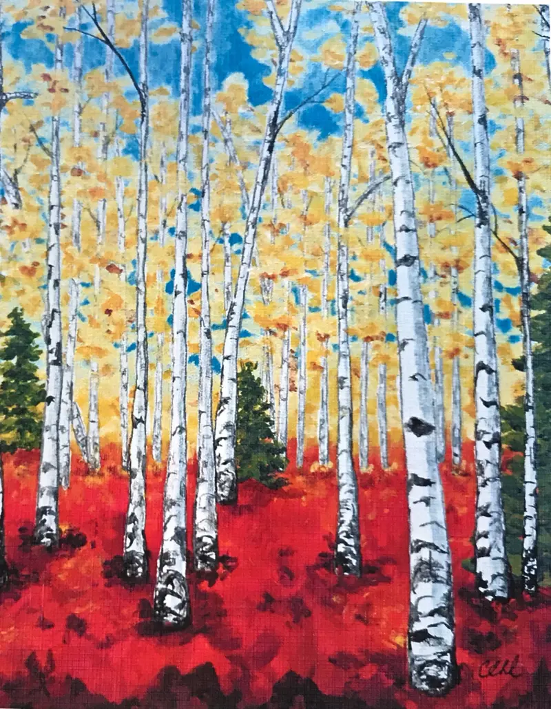 Birches By Cathie Hamilton 1
