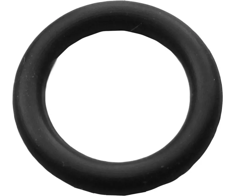 Co2 Regulator Inlet Washer 1