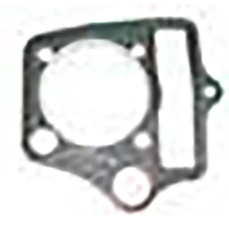 Cylinder Head Cover Gasket  New (Cheetah) 1