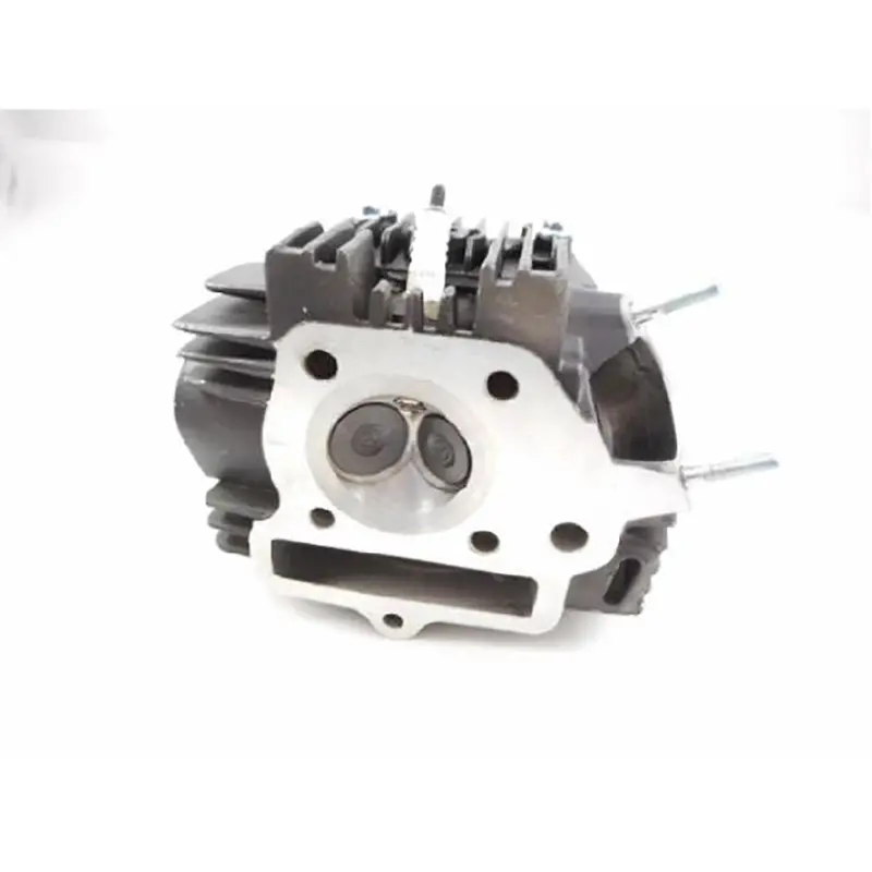Cylinder Head  New (Cheetah) 1