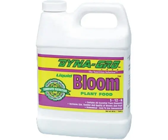 Dyna-Gro Bloom, 1 Qt 1