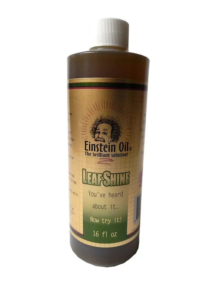 Einstein Oil, 16 Oz 1