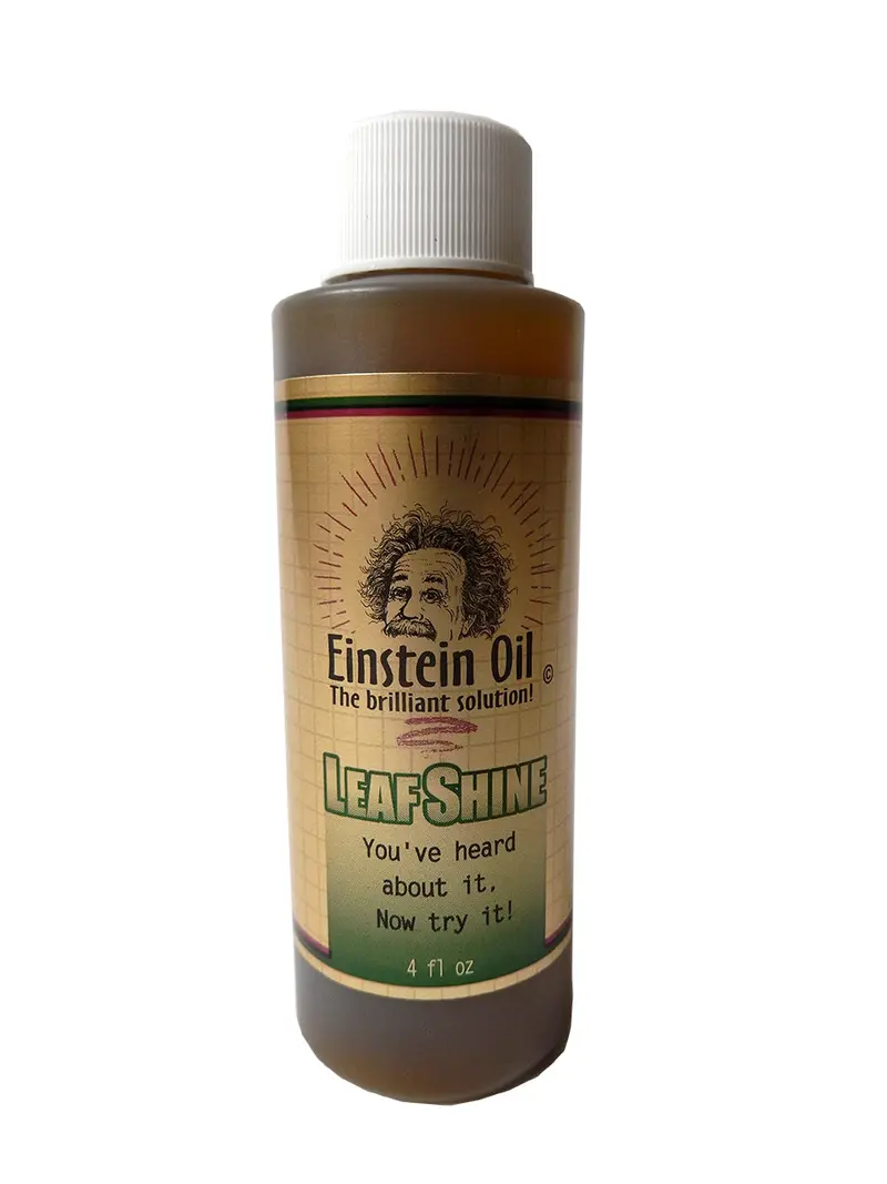 Einstein Oil, 4 Oz 1