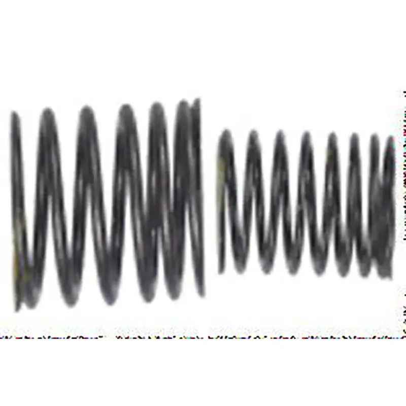 Engine Valve Spring (Ata 110D/D1) 1