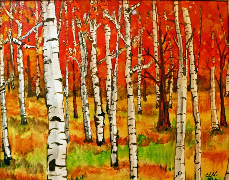 Fall Birches By Cathie Hamilton 1
