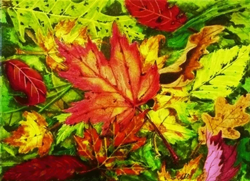 Fallen Leaves By Cathie Hamilton 1