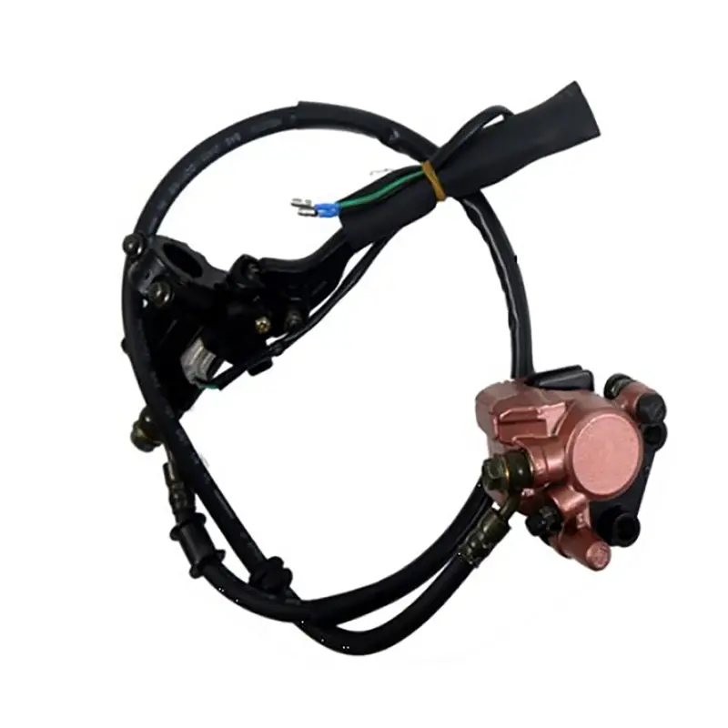 Front Disk Brake Assembly (Quantum 150) 1