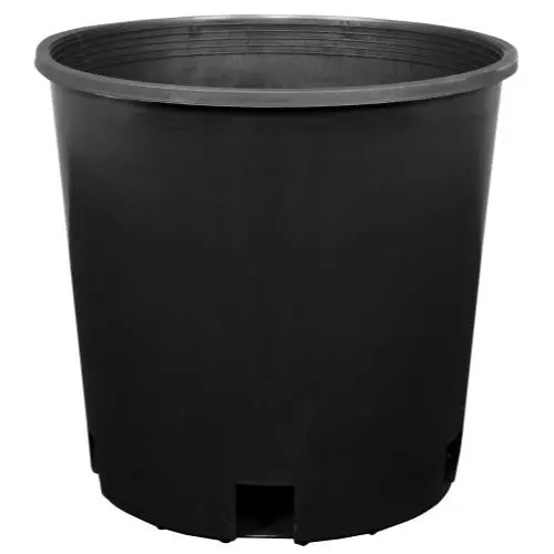 Gro Pro Premium Tall Nursery Pot 3 Gallon 1