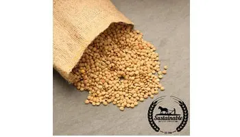 Handy Pantry Organic Lentil Sprouting Seeds 1