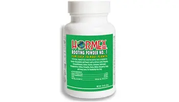 Hormex Snip N' Dip Rooting Powder #1 1