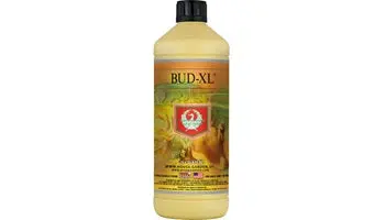 House And Garden Bud Xl 1