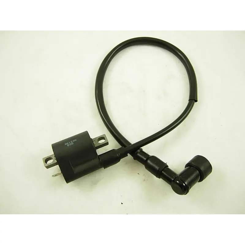 Ignition Coil 200# 1