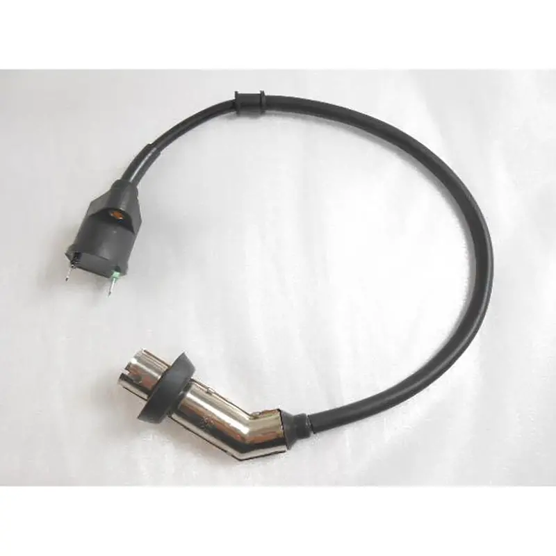 Ignition Coil  (Quantum 150) 1