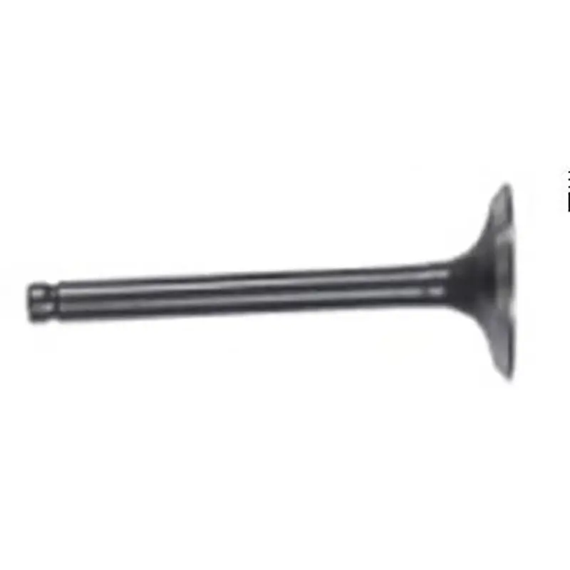 Intake Valve Stem (Ata 110 D/D1) 1