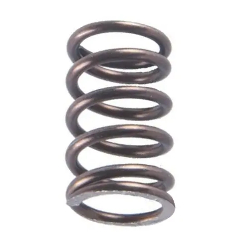 Kawasaki Genuine Idle Gear Spring (1991 - 2020) 1