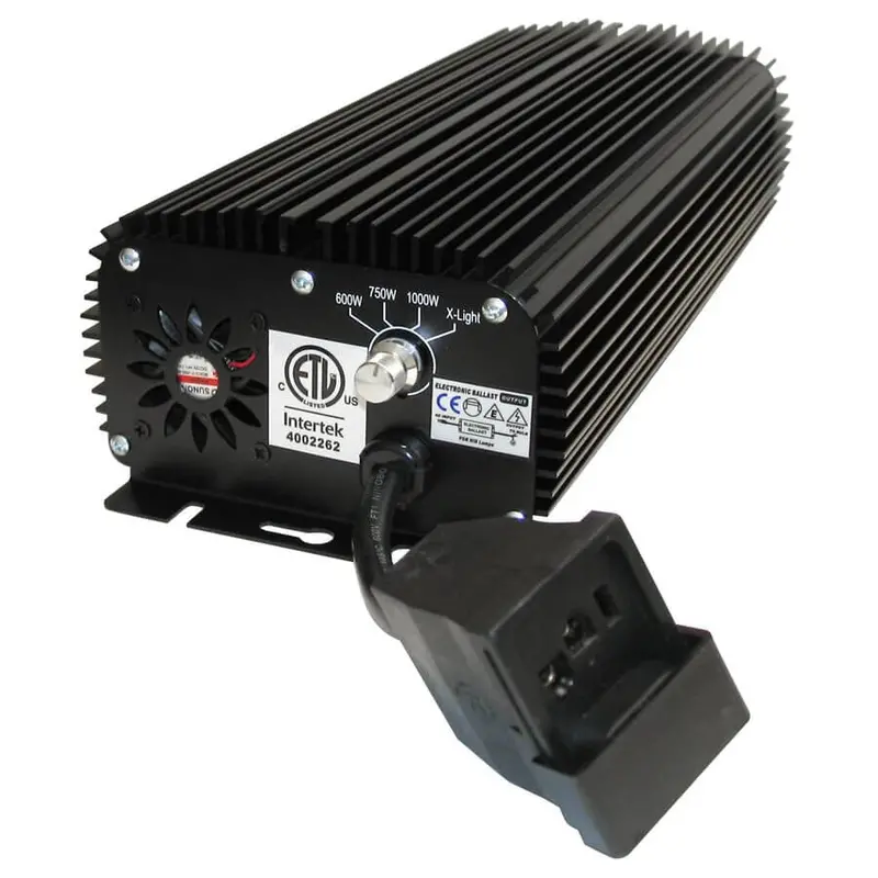 Lightspeed Digital 1000W Ballast 1