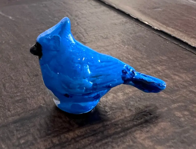 Magnetic Blue Jay 1