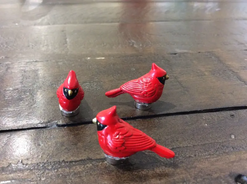 Magnetic Cardinal 1