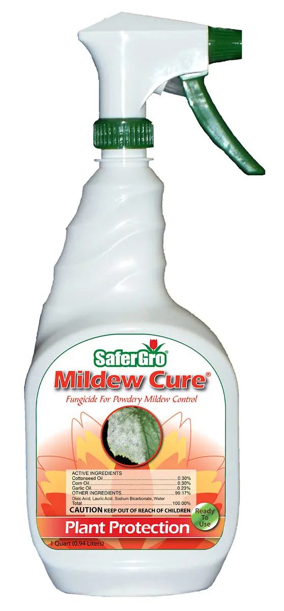 Mildew Cure Rtu, 32 Oz 1