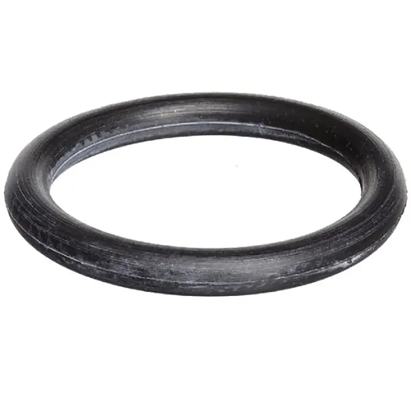 O-Ring 30.8X3.2 (Ata 110D/D1) 1