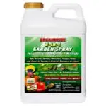Organocide 3-In-1 Conc. 2.5 Gallon (2/Cs) 1
