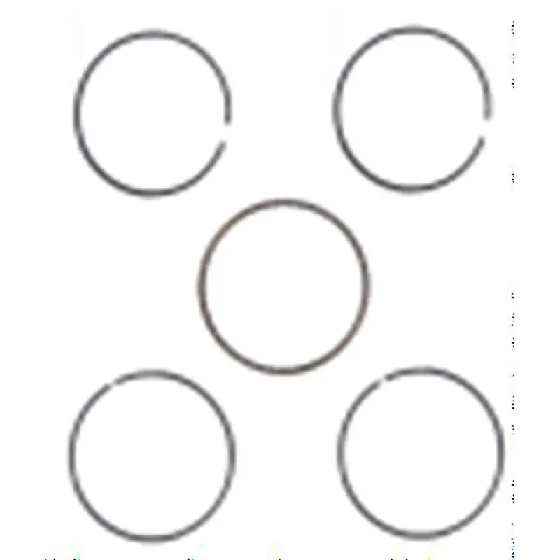 Piston Rings (Ata 110 D/D1) 1