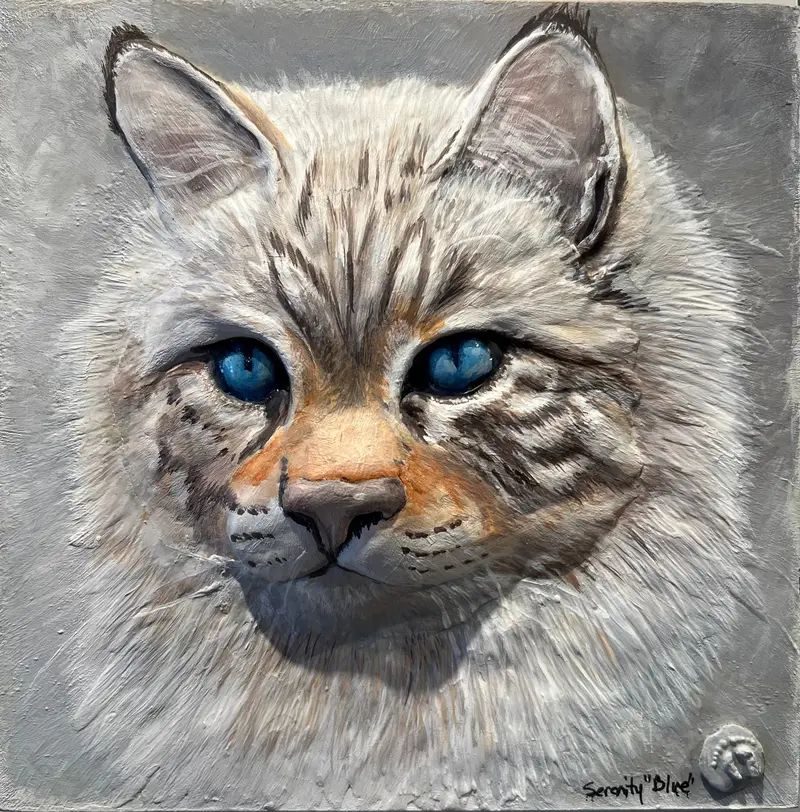 Princess The Cat 1