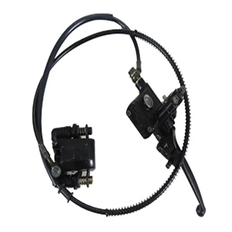 Rear Disk Brake Assembly (Bull 200) 1