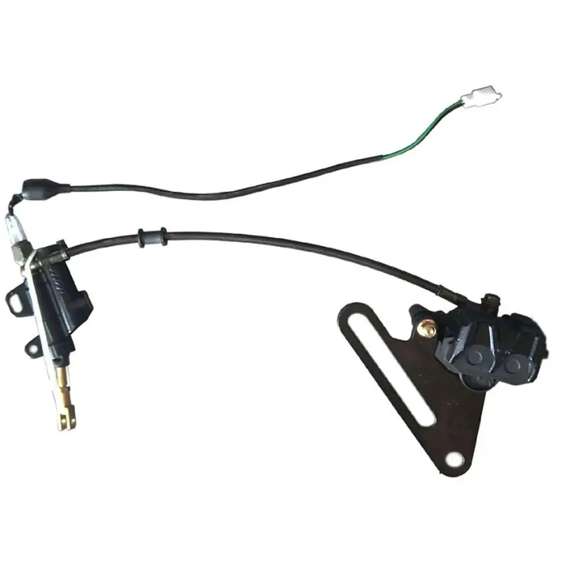 Rear Disk Brake Assembly (Tbr7) 1