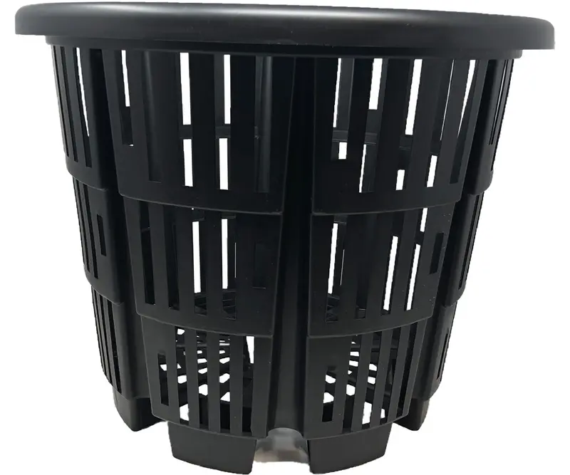 Rediroot Container #15 1