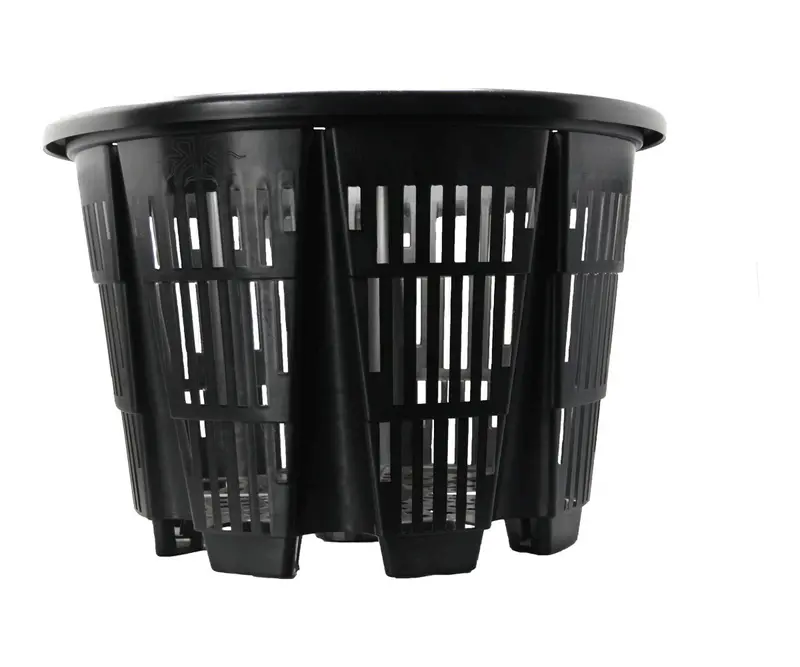 Rediroot Container #25 1