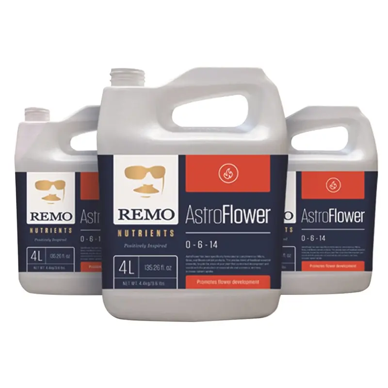 Remo's Astro Flower 1