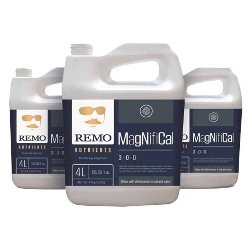 Remo's Magnifical 1