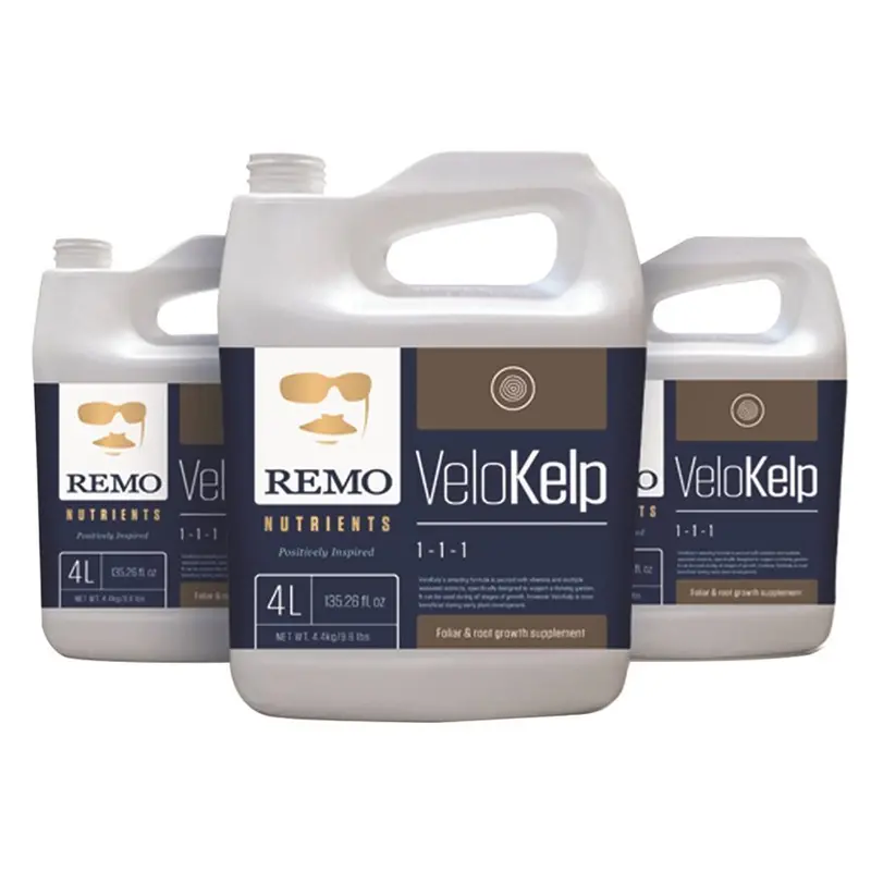 Remo's Velokelp 1