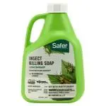 Safer Insect Killing Soap Ii Conc. 16 Oz (6/Cs) 1