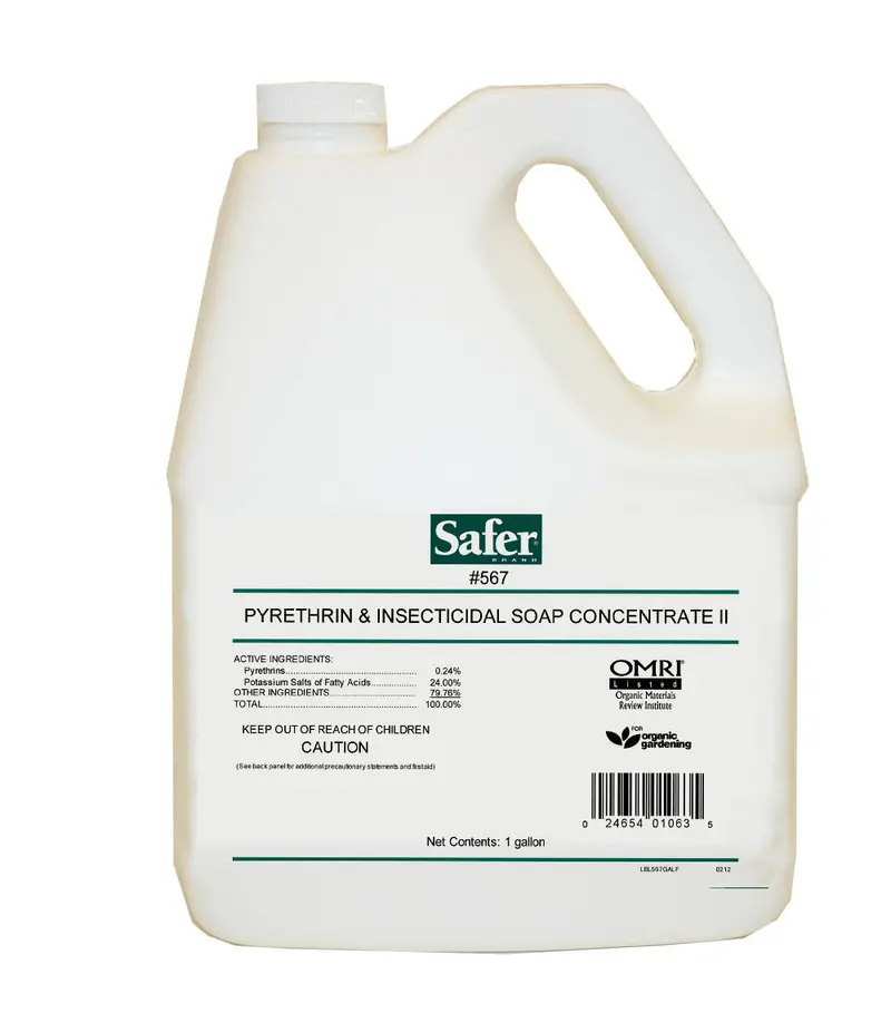 Safer Insecticidal Soap & Pyrethrin 1 Gal 1