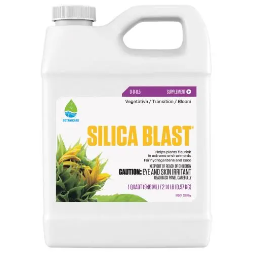 Silica Blast 1Qt 1