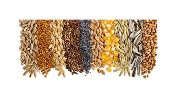 Snake River Seeds - Flowers 1