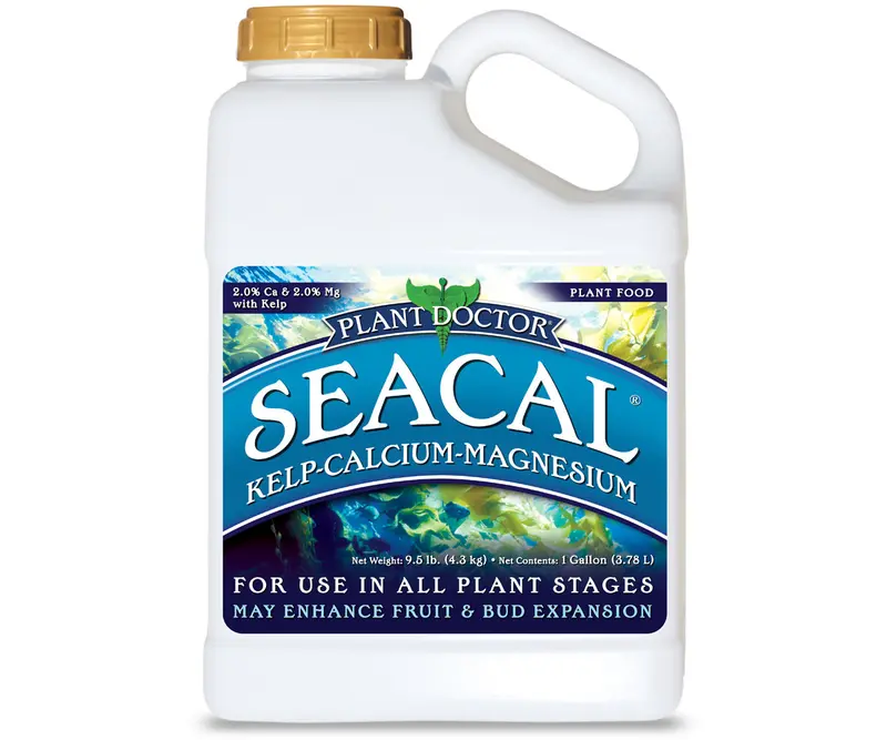 Spo Seacal Gal (4/Cs) 1