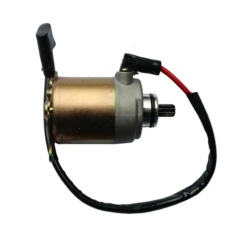 Starter Motor (Snow Leopard) 1