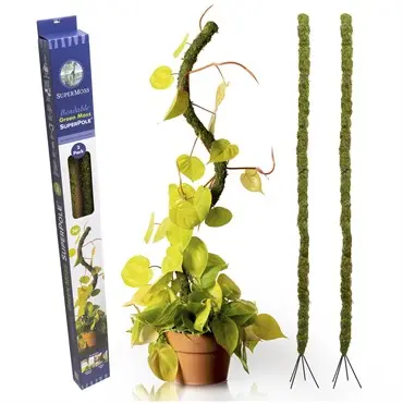 Supermoss Bendable Moss Pole 1